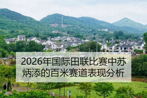 nian-guo-ji-tian-lian-bi-sai-zhong-su-bing-tian-de-bai-mi-sai-dao-biao-xian-fen-xi-2-214.jpg
