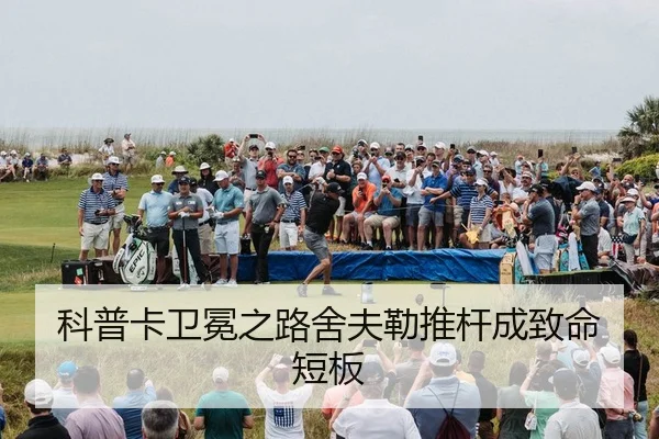 ke-pu-ka-wei-mian-zhi-lu-she-fu-lei-tui-gan-cheng-zhi-ming-duan-ban-2-310.jpg