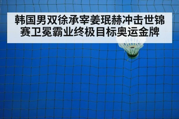 badminton net play